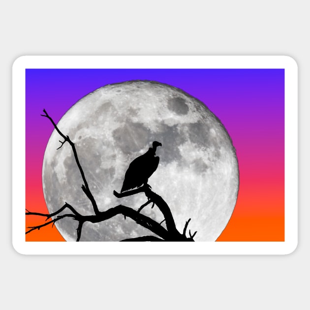 Vulture Silhouetted Against Supermoon Sticker by GrahamPrentice